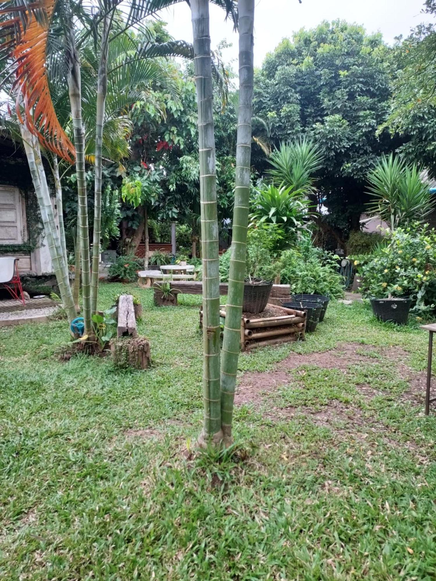 Kwanlah Homestay 夜占县 外观 照片