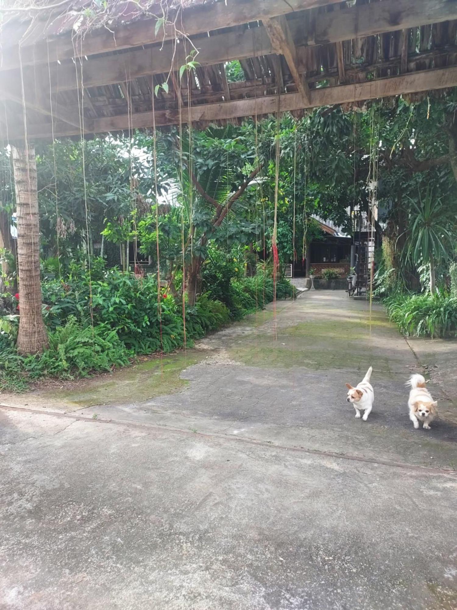 Kwanlah Homestay 夜占县 外观 照片